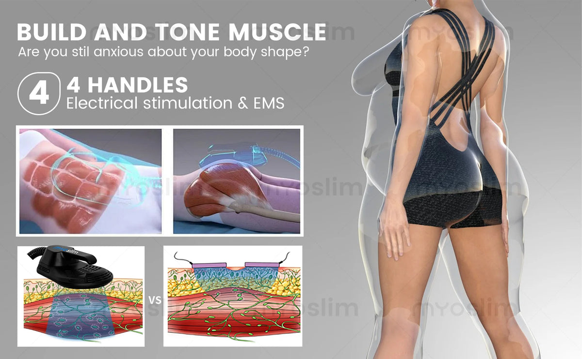 EMS Body Sculpting Machine MYOslim Muscle Building Fat Burning Abdominal Sculpting 15T 6500W Weight Lose Machine