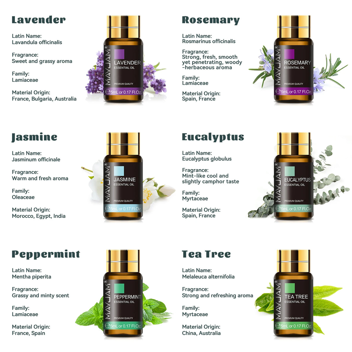 MAYJAM 35 Bottles Essential Oils Kit Gift Box ,Lavender Jasmine Vanilla Lemon Eucalyptus Sandalwood Frankincense SweetOrange Ylang Rose Bergamot Tea Tree Lemongrass Patchouli Rosemary Geranium Citronella Aromatherapy Oil for